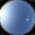 1564360052.jpg