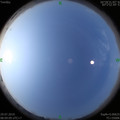 1564362393.jpg