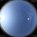 1564362783.jpg