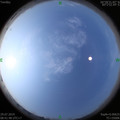1564364359.jpg