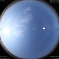 1564365139.jpg