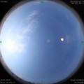 1564365529.jpg