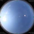 1564366295.jpg
