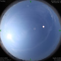 1564367855.jpg