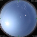 1564370196.jpg