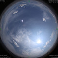 1564388115.jpg
