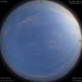 1564409741.jpg