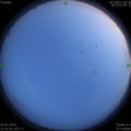 1564411391.jpg