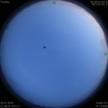 1564411572.jpg