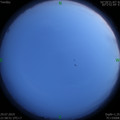 1564412172.jpg