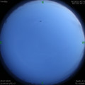 1564412547.jpg