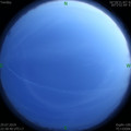 1564414573.jpg