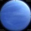 1564415879.jpg