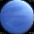 1564416014.jpg