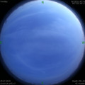 1564416074.jpg