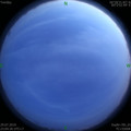1564416134.jpg