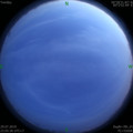1564416194.jpg