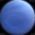 1564416389.jpg
