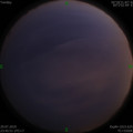 1564418610.jpg