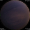 1564418790.jpg