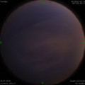 1564418850.jpg