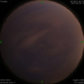 1564419826.jpg