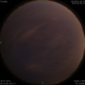 1564420066.jpg