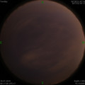 1564420486.jpg