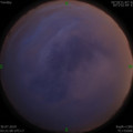 1564431531.jpg