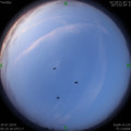 1564438975.jpg