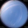 1564439155.jpg