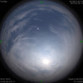 1564470230.jpg