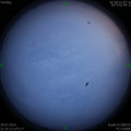 1564497153.jpg