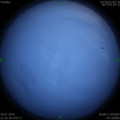1564498188.jpg