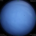 1564498368.jpg