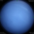 1564498743.jpg