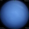 1564498803.jpg