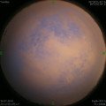 1564503036.jpg