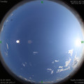 1564573187.jpg