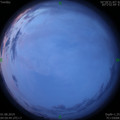 1564610225.jpg
