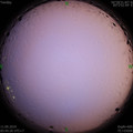 1568155349.jpg