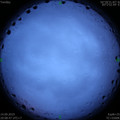 1568466314.jpg