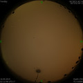 1568574576.jpg
