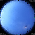 1568761715.jpg