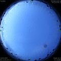 1568761955.jpg