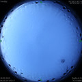 1568762810.jpg
