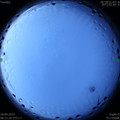 1568762870.jpg