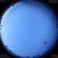 1568763186.jpg