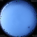 1568763306.jpg