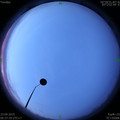 1569195238.jpg